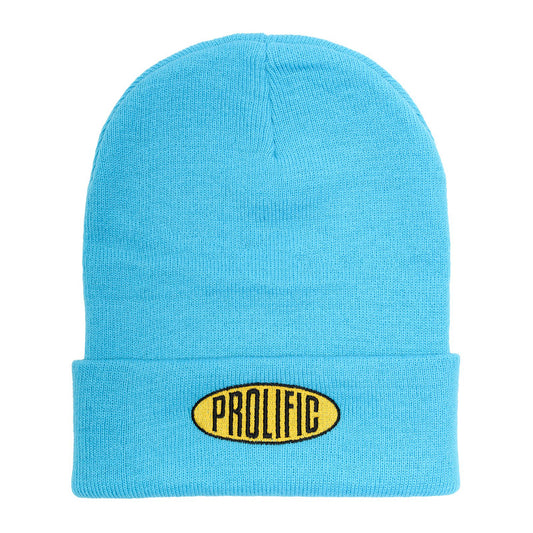 Prolific Teal Beanie